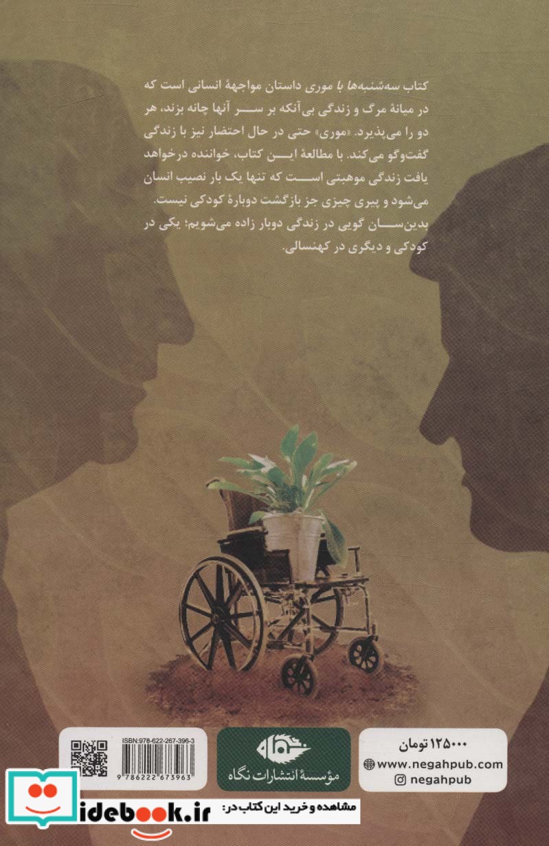 سه شنبه ها با موری شمیز،رقعی،نگاه