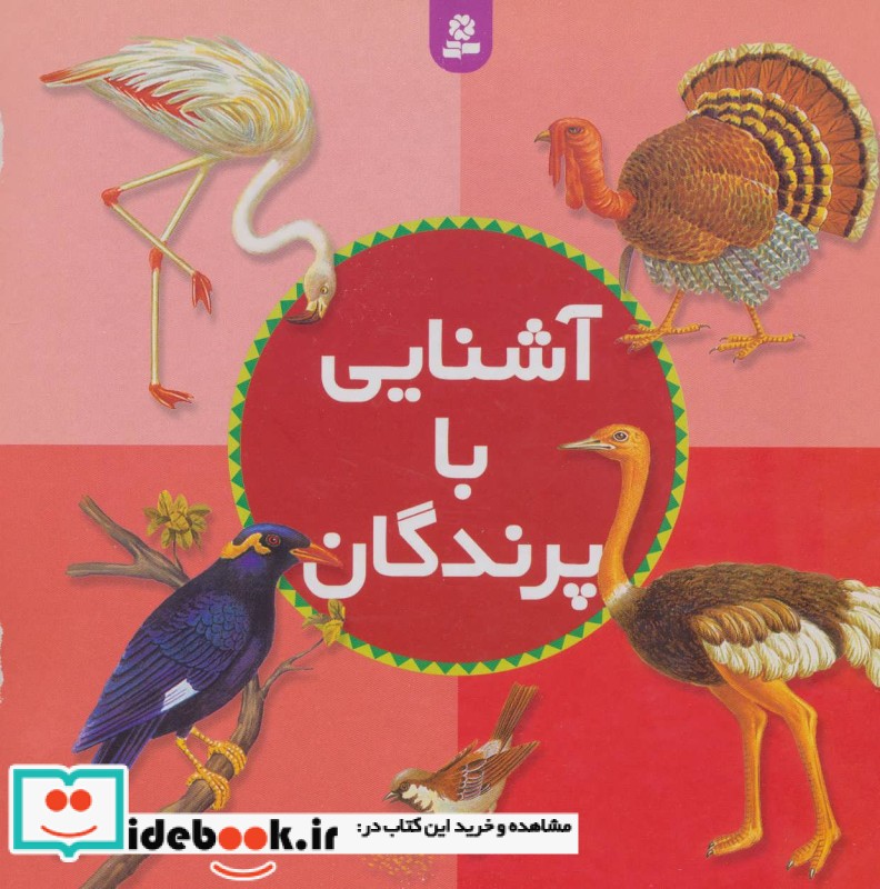 آشنایی با پرندگان