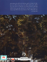 طهران نامه