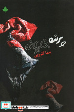 پرنده بی پرنده