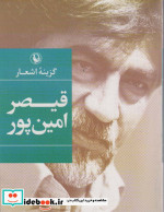 گزینه اشعار قیصر امین پور قطع جیبی