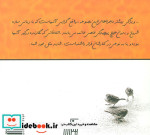 آرامش گنجشک ها