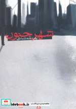 شهر جنون