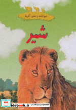 شیر از حیوانات وحشی آفریقا