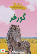 گورخر از حیوانات وحشی آفریقا
