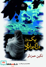 یک روز دلگیر ابری