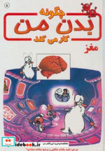 چگونه بدن من کار می کند 8