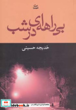 بی راهه ای در شب