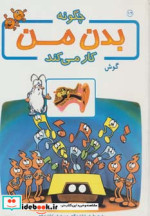 چگونه بدن من کار می کند12
