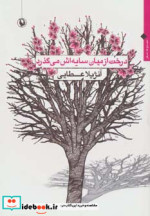 درخت از میان سایه اش می گذرد