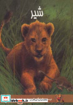 شیر
