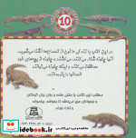 تمساح ها