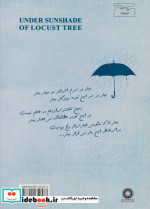 زیر چتر اقاقی