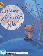 چمدان شگفت انگیز هاپو