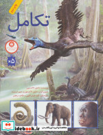 تکامل نشر فاطمی