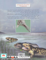 تکامل نشر فاطمی