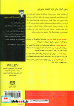 اقتصاد مدیریتی از دامیز