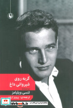 گربه روی شیروانی داغ
