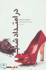 در امتداد شب