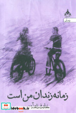 سنجاب کجا رفته بود؟