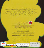 میمون اومد آب بخوره