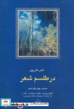 در طلسم شعر منتخب چهار دفتر شعر