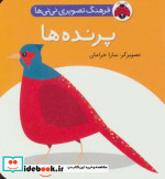 فرهنگ تصویری نی نی ها پرنده ها