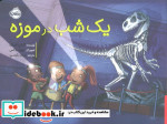 یک شب در موزه