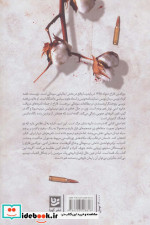 رهزنان دریا