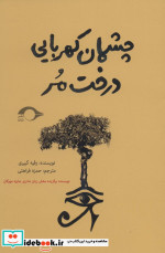 چشمان کهربایی درخت مر