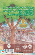کوچه شهر شگفتی