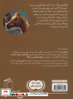 اسب سحرآمیز