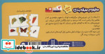 بسته مفهوم طبقه بندی