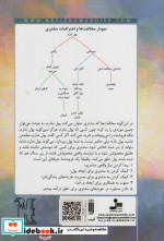 چگونه از همه بله بگیرید