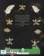 دوستی اسکلتی