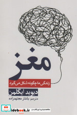 مغز زندگی ما چگونه شکل می گیرد