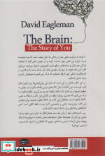 مغز زندگی ما چگونه شکل می گیرد