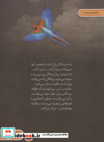 دنیای هیجان انگیز 2 پرندگان