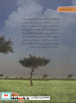 دنیای هیجان انگیز 8 گربه سانان بزرگ