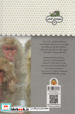 یک فنجان دانستنی درباره ‌ی میمون‌ ها