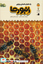 یک فنجان دانستنی درباره ‌ی زنبورها