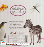 پیدا کن و بچین حیوانات ‌بامزه
