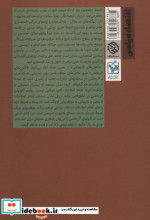 کارآمدی در محیط نهادی ناکارآمد