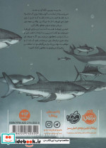جا مانده در اعماق اقیانوس