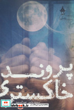 پرونده خاکستری