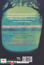دریاچه مخفی نشر سایه گستر