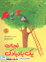 نجات یک بادبادک