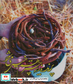 پرنده زیر چتر هم خیس می شود