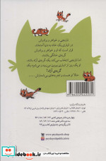 نارنجی گربه ی آزاد 3 تجربه های نارنجی