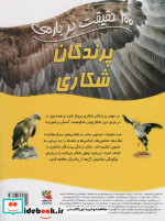 100 حقیقت درباره پرندگان شکاری سایه گستر